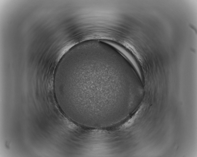 X0000091181081200708161513