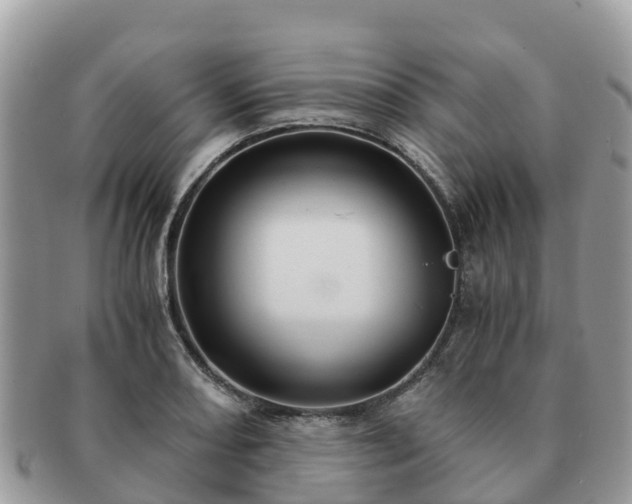 X0000091181082200708161513