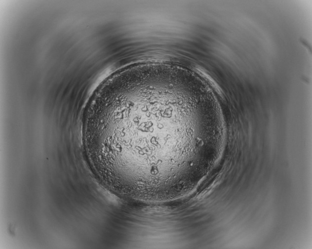 X0000091181083200708161513