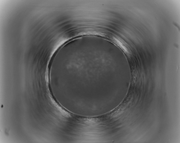 X0000091181084200708161513