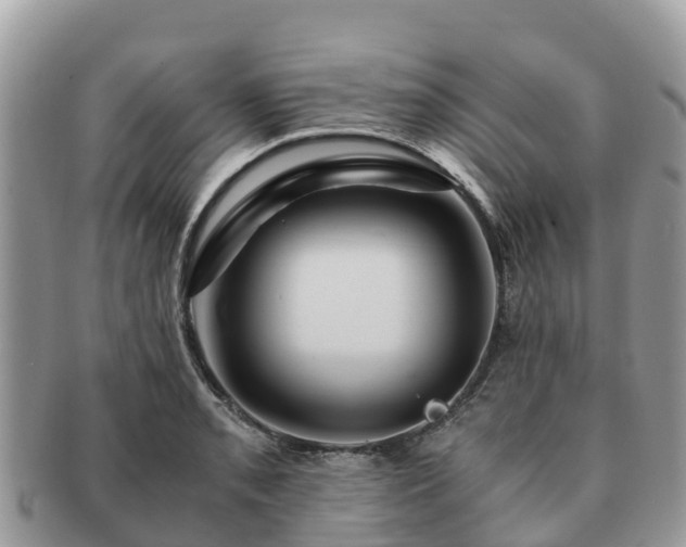 X0000091181085200708161513