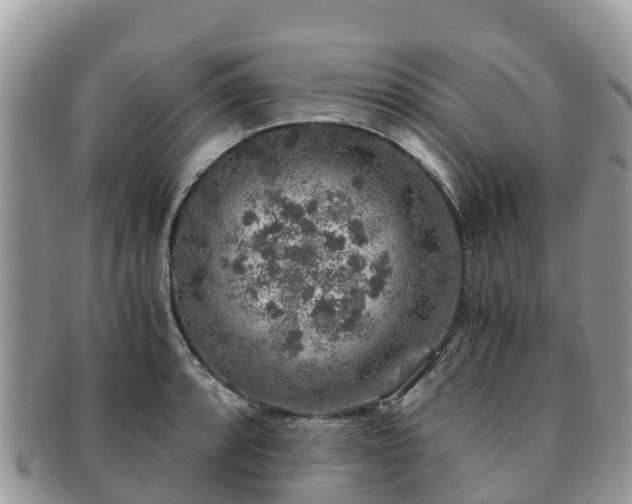 X0000091181088200708161513