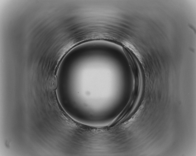 X0000091181089200708161513