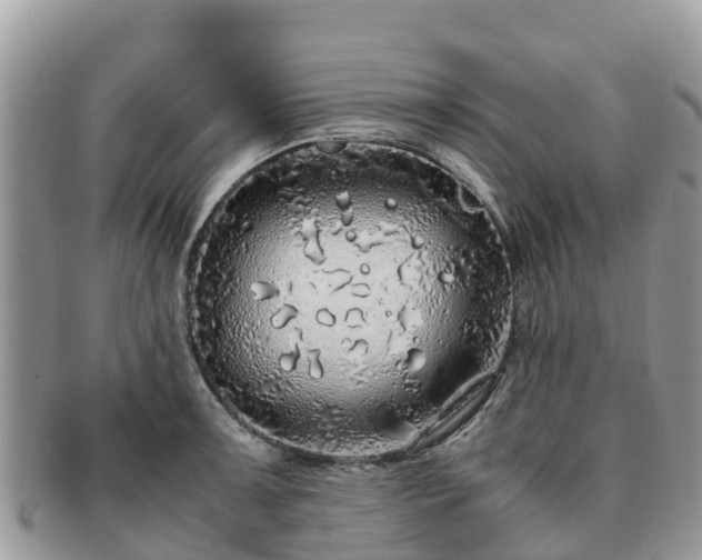 X0000091181091200708161513