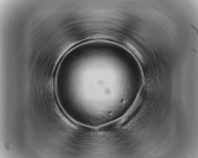 X0000091181092200708161513