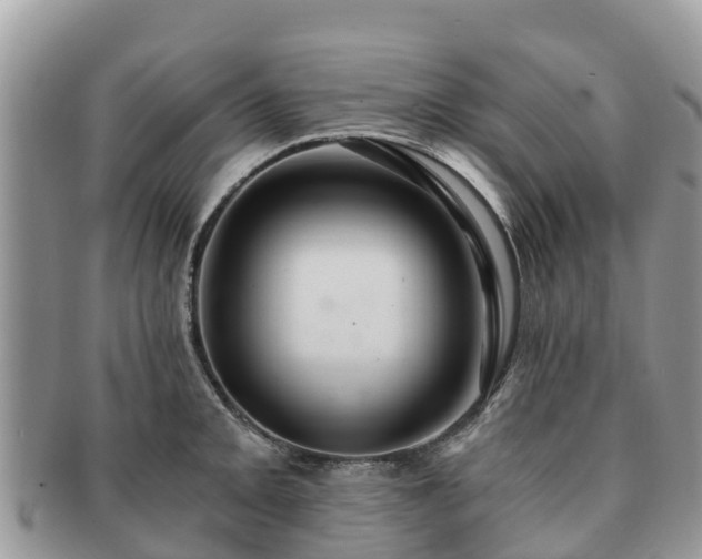 X0000091181093200708161513