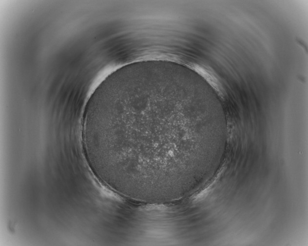 X0000091181094200708161513