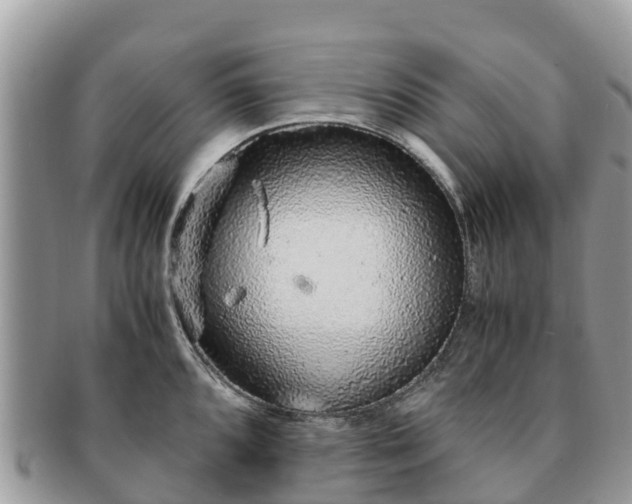 X0000091181096200708161513