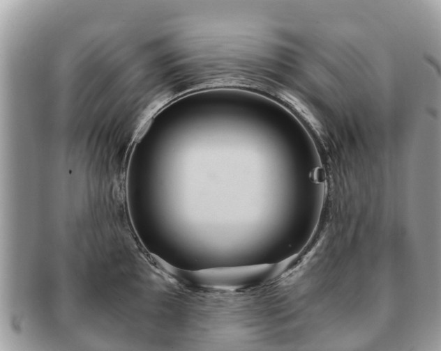 X0000091181097200708161513