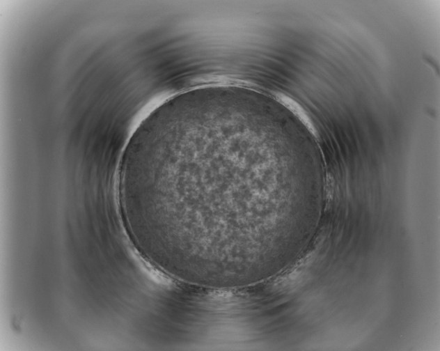 X0000091181098200708161513