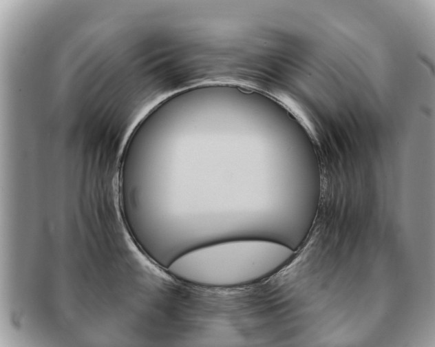 X0000091181100200708161513