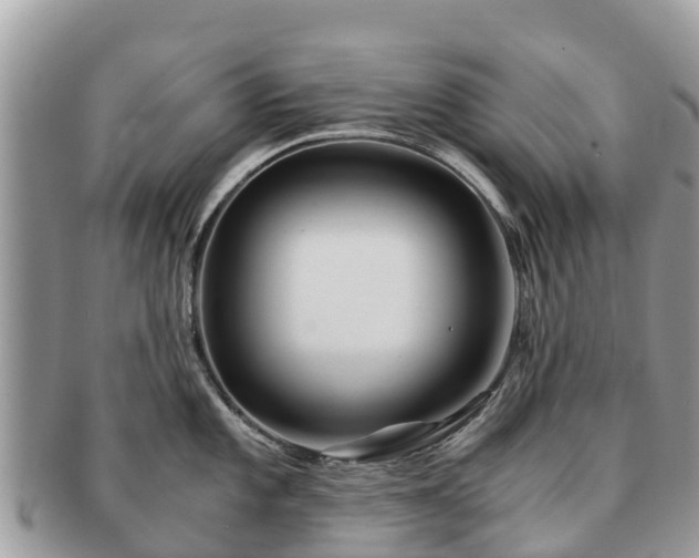 X0000091181101200708161513