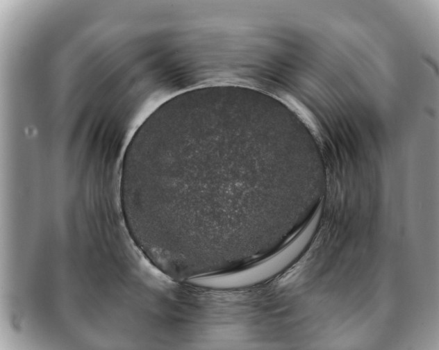 X0000091181102200708161513