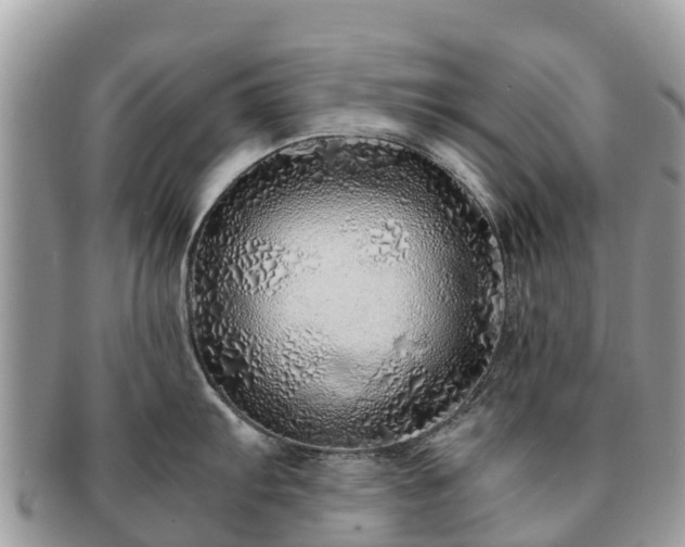 X0000091181103200708161513