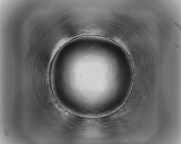 X0000091181104200708161513