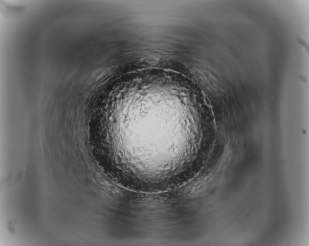 X0000091181105200708161512