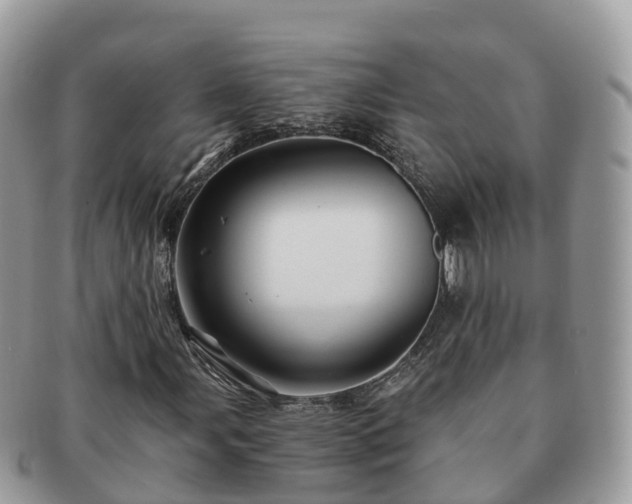 X0000091181107200708161512