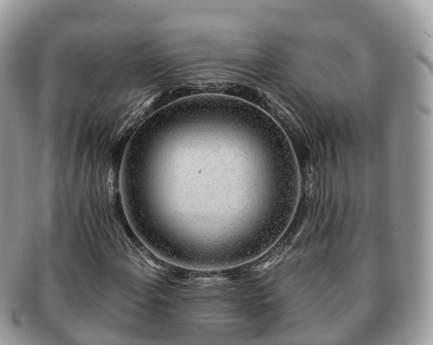 X0000091181108200708161512