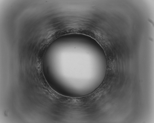X0000091181109200708161512