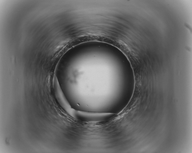 X0000091181110200708161512