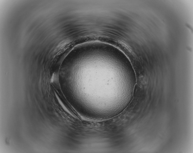 X0000091181111200708161512