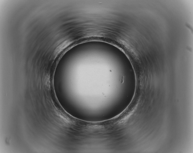 X0000091181113200708161512