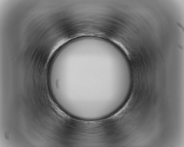 X0000091181114200708161512