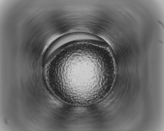 X0000091181115200708161512