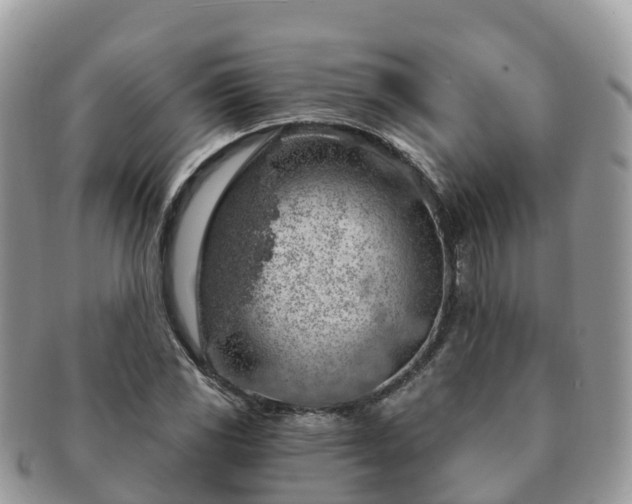 X0000091181117200708161512