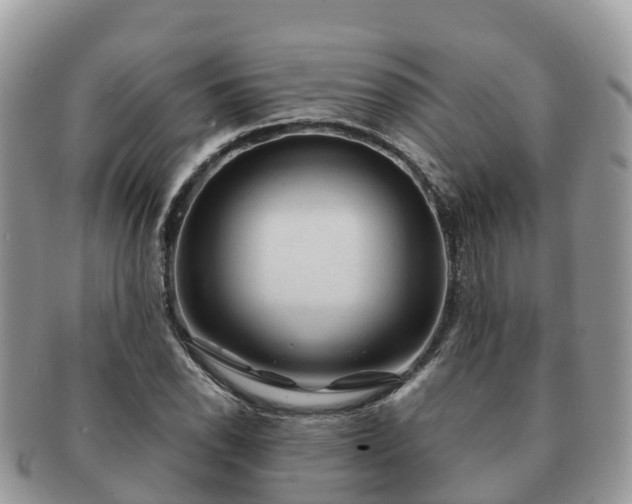 X0000091181118200708161512