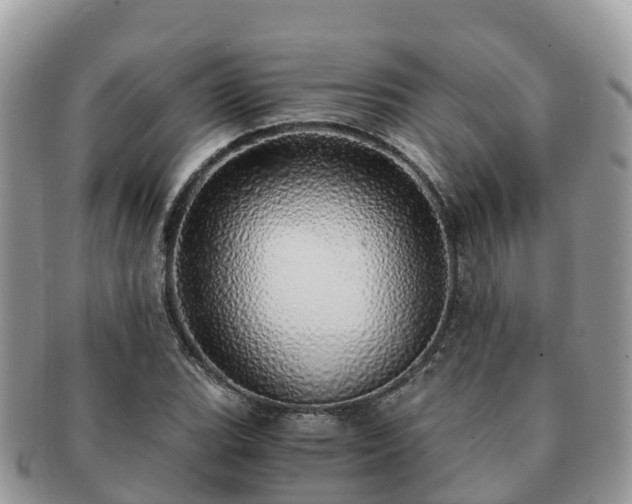 X0000091181119200708161512