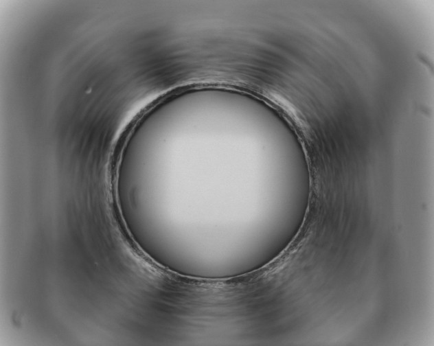X0000091181120200708161512