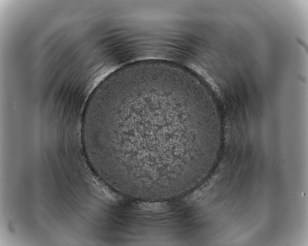 X0000091181121200708161512