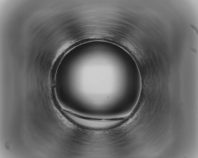 X0000091181122200708161512