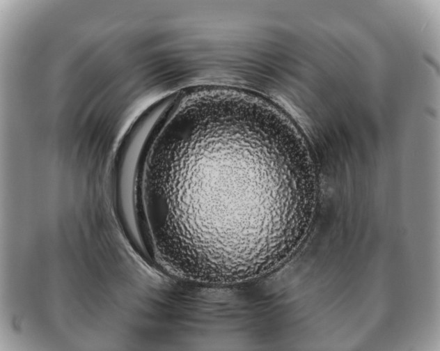 X0000091181123200708161512