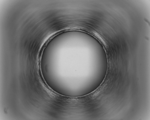 X0000091181124200708161512