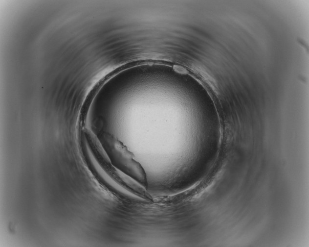 X0000091181125200708161512