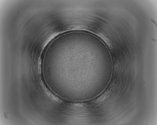 X0000091181126200708161512
