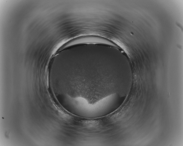 X0000091181127200708161512