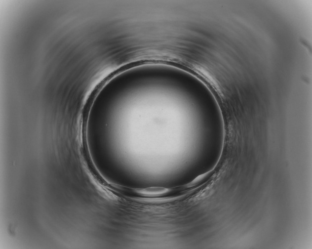 X0000091181128200708161512