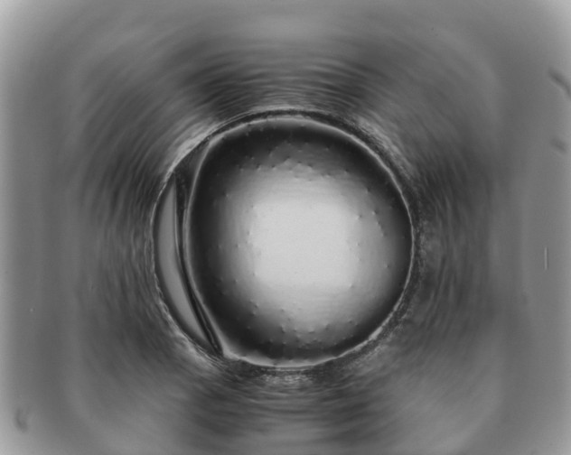 X0000091181129200708161512