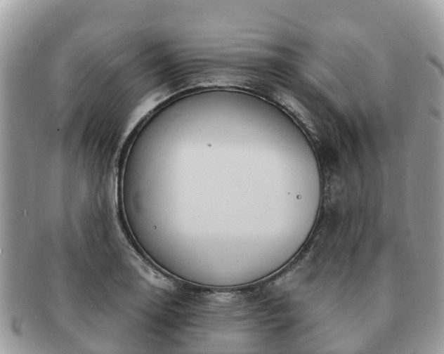 X0000091181130200708161512