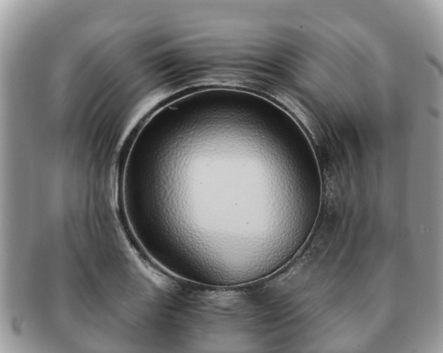 X0000091181131200708161513