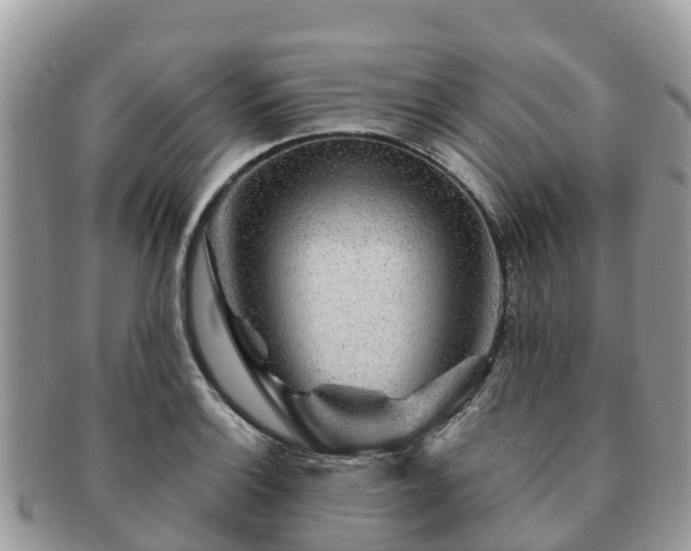 X0000091181132200708161513