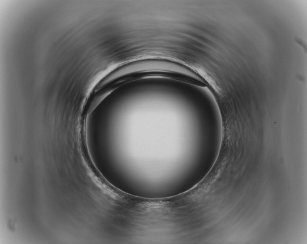 X0000091181134200708161513