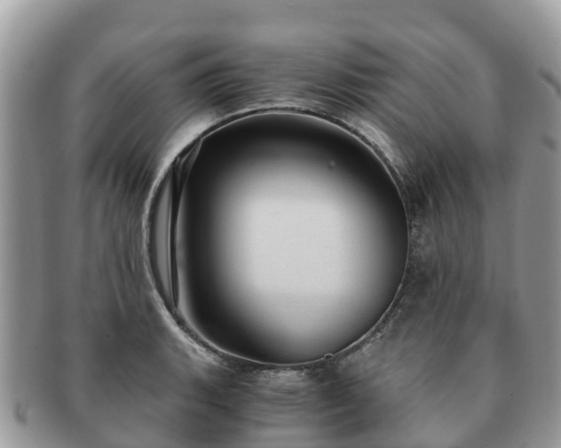 X0000091181135200708161513