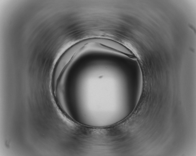 X0000091181136200708161513