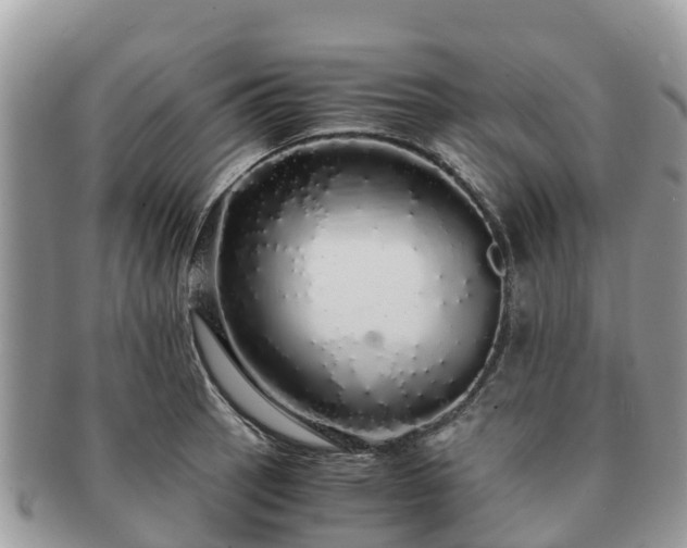 X0000091181137200708161513