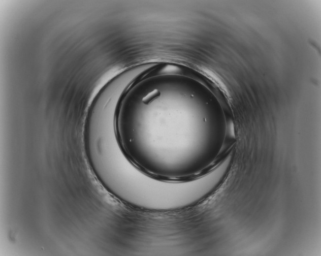 X0000091181138200708161513