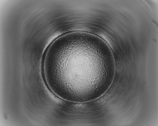 X0000091181139200708161513